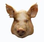 CABEZA